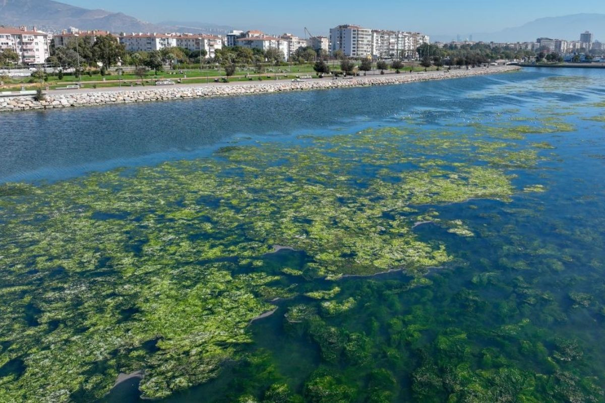 Körfezdeki kirliliğe karşı Bakanlıktan ‘İzmir için nefes’ projesi