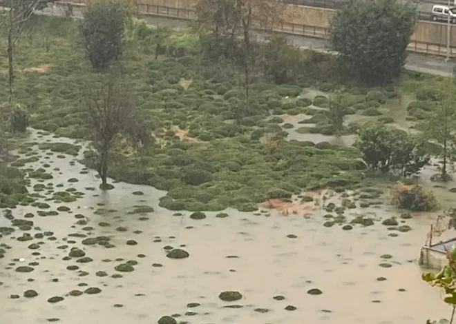 Rize Çayeli’nde heyelan! CHP: Bu tür afetler kader değil, basiretsizliktir!